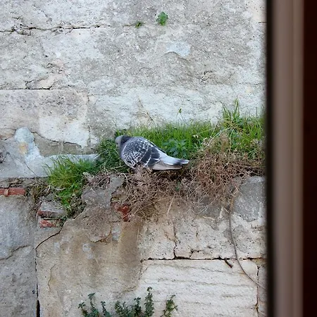 Ξενοδοχείο Djem Κωνσταντινούπολη
