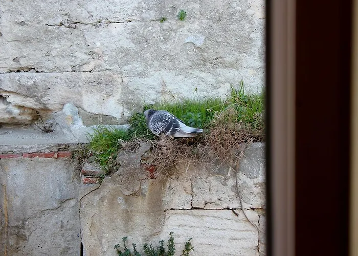 Hotel Djem Istanboel